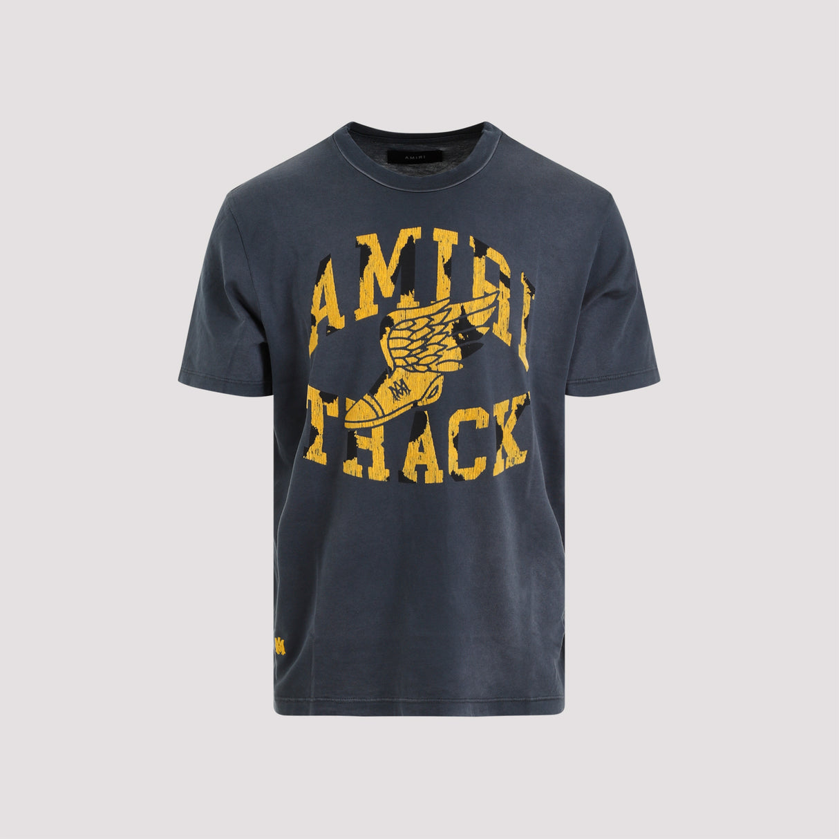 AMIRI Grey Ribbed Crew-Neck T-Shirt with Velvet Print for Men